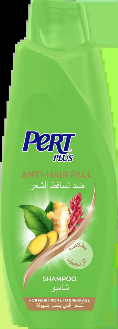 بيرت شامبو بلاس بخلاصة الزنجبيل 600 مل